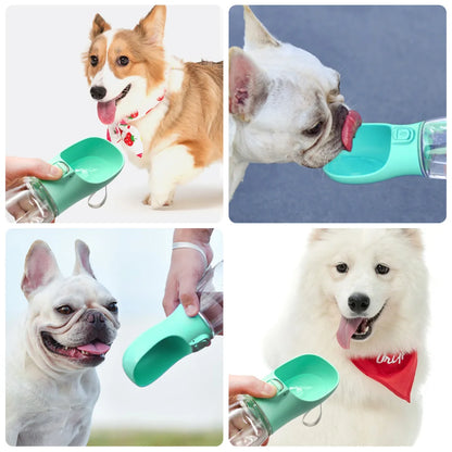 Outdoor Pet Bottle